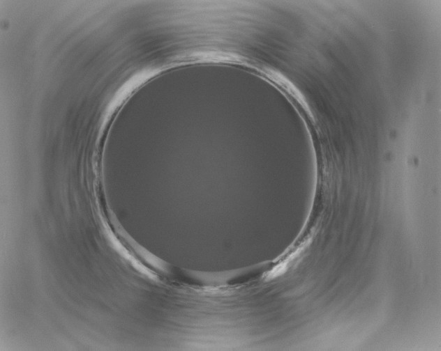 X0000060791381200511241834