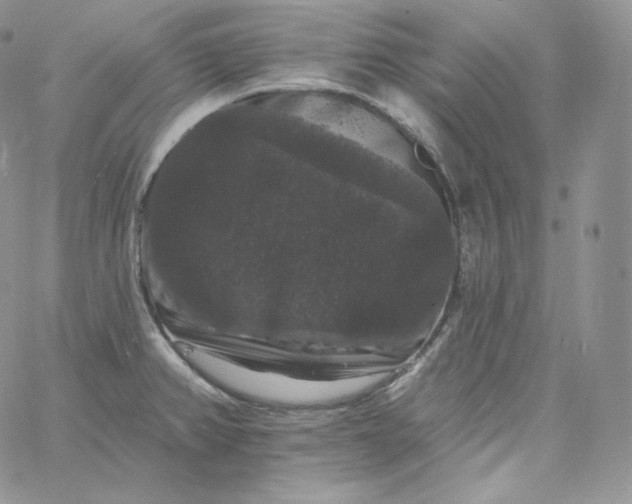 X0000060791382200511241834