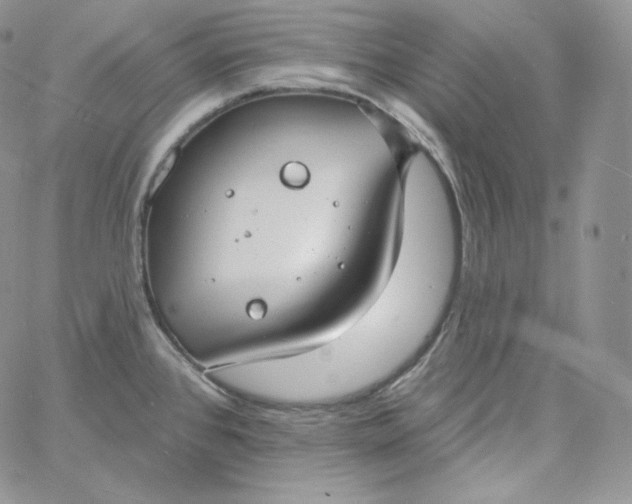 X0000060791384200511241834