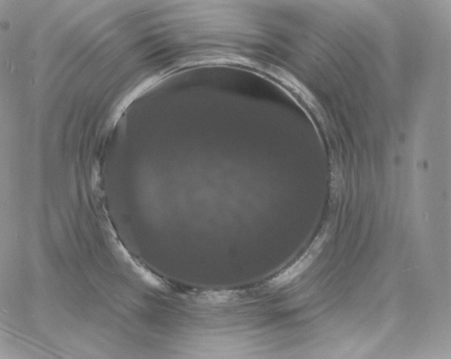 X0000060791385200511241834