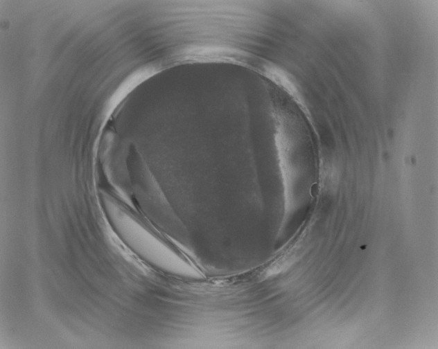 X0000060791386200511241834