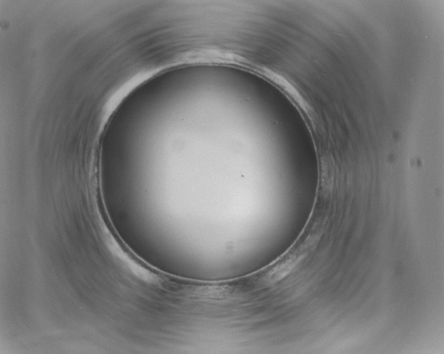 X0000060791387200511241833