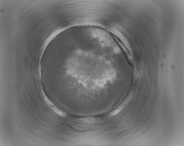 X0000060791388200511241833