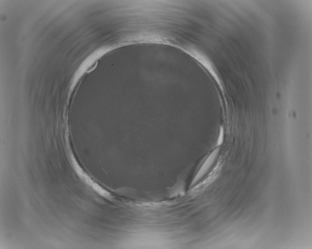 X0000060791389200511241833