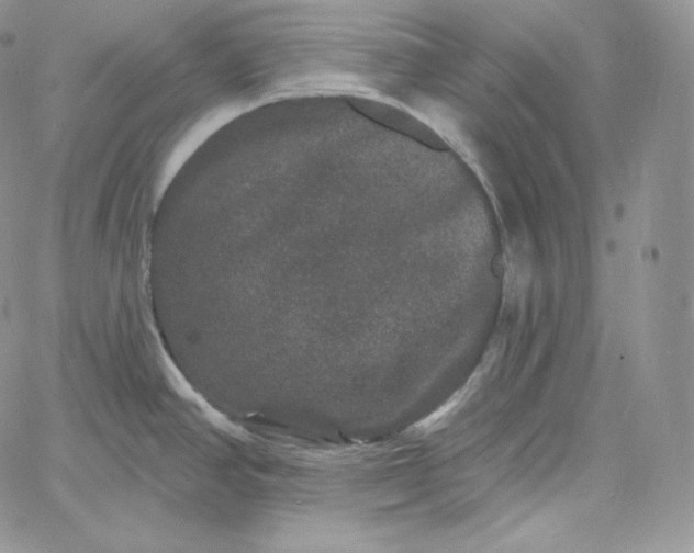 X0000060791390200511241833