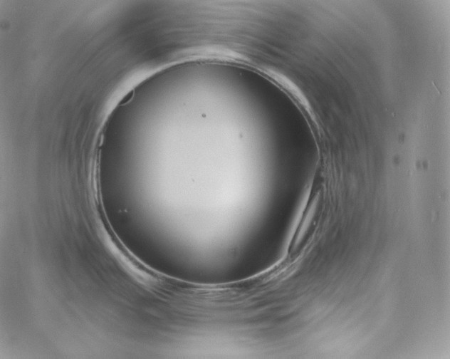 X0000060791391200511241833