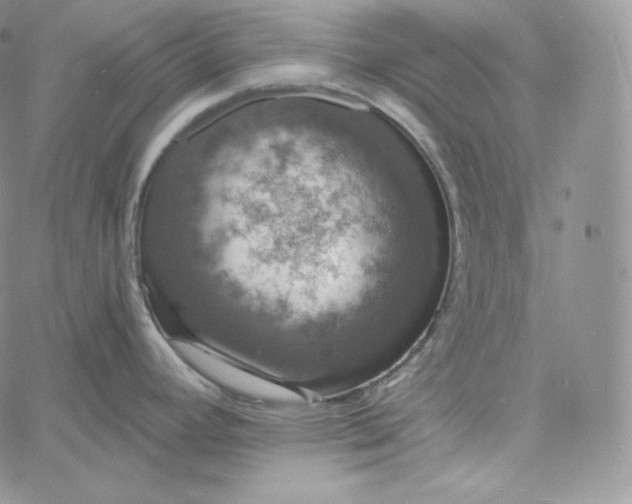 X0000060791392200511241833