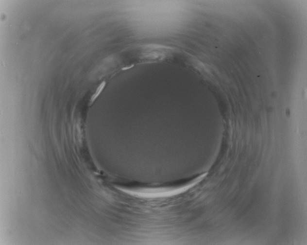 X0000060791394200511241833