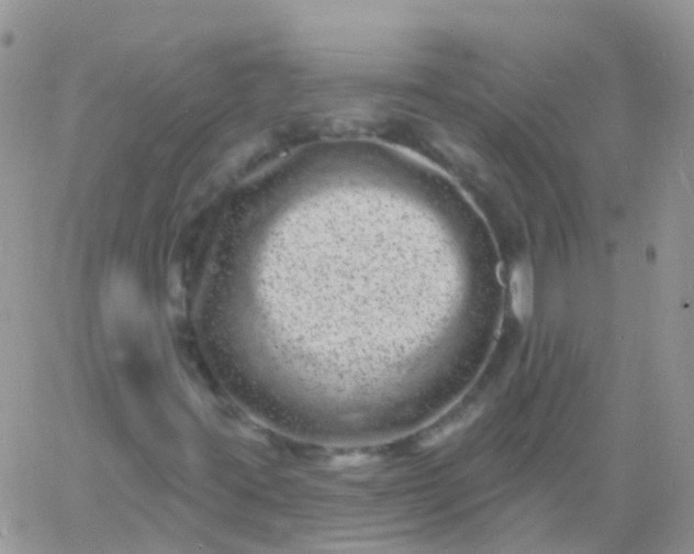 X0000060791395200511241833