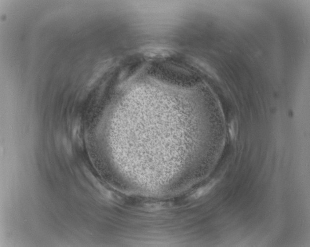 X0000060791396200511241833