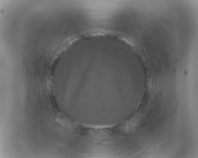 X0000060791397200511241833