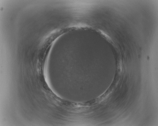 X0000060791398200511241833