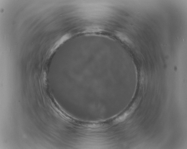 X0000060791401200511241833