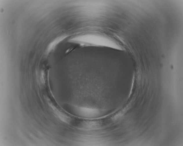 X0000060791402200511241833