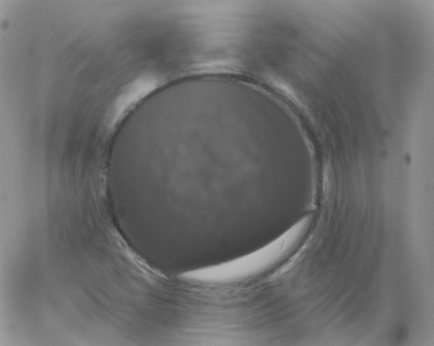 X0000060791405200511241833