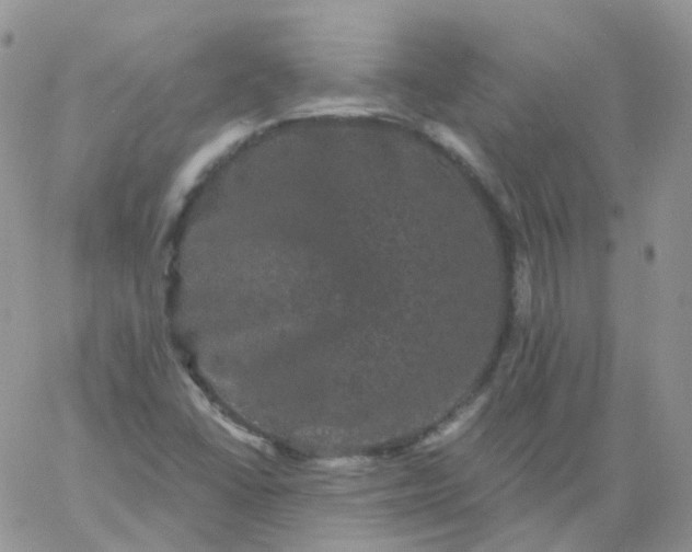 X0000060791406200511241833