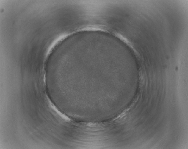 X0000060791408200511241833