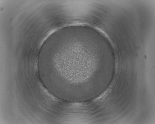 X0000060791409200511241833