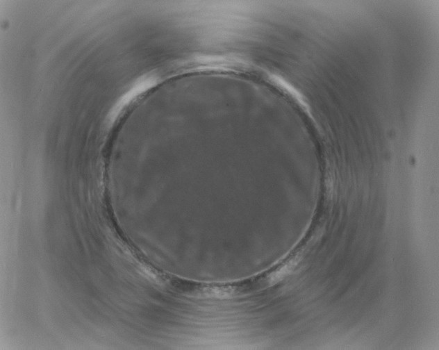 X0000060791411200511241833