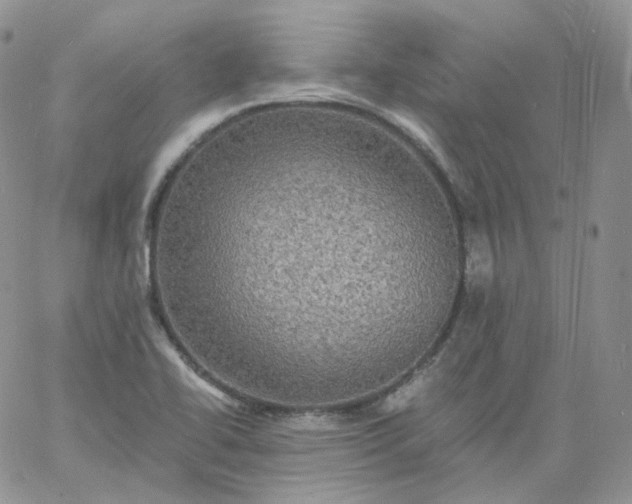 X0000060791414200511241833