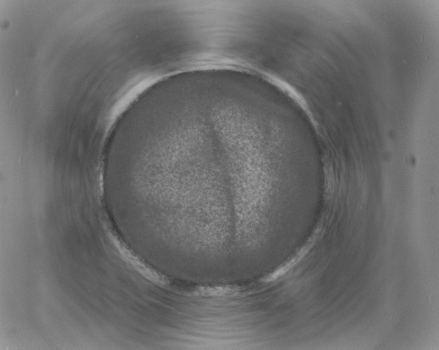 X0000060791415200511241833