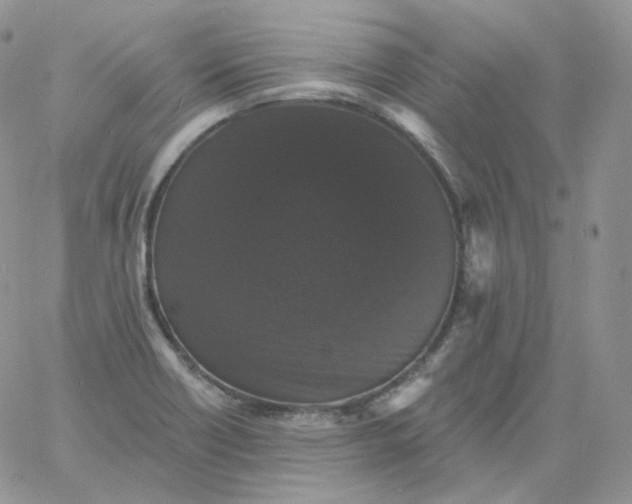 X0000060791418200511241833