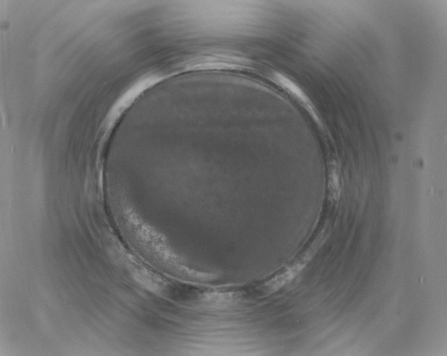 X0000060791419200511241833