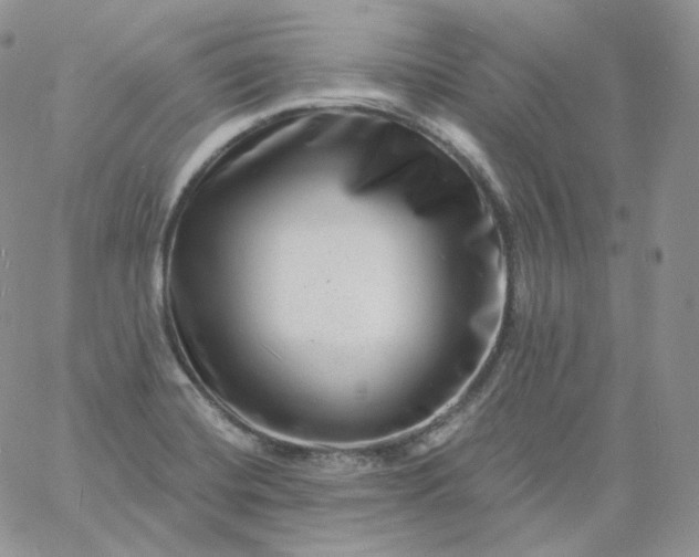 X0000060791420200511241833