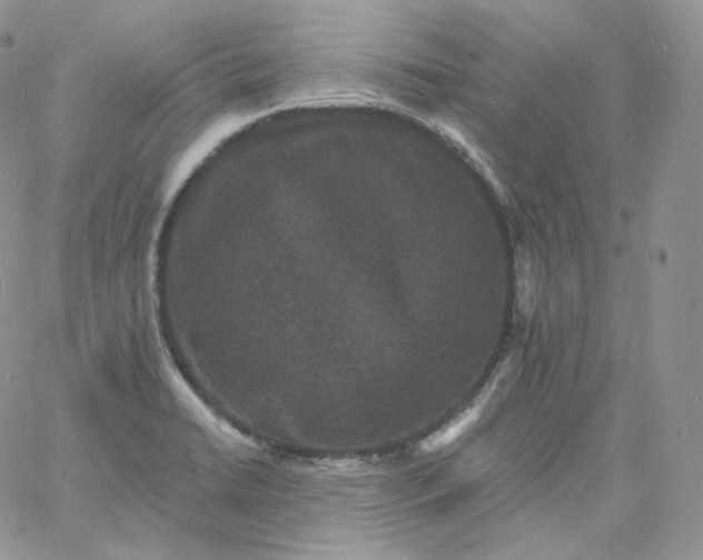 X0000060791422200511241833