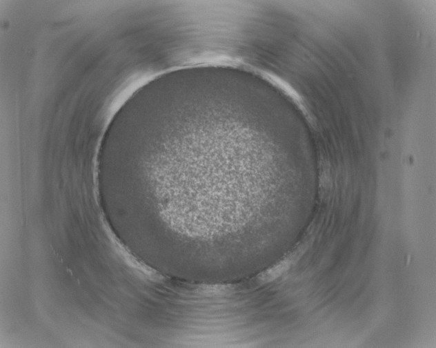 X0000060791423200511241833