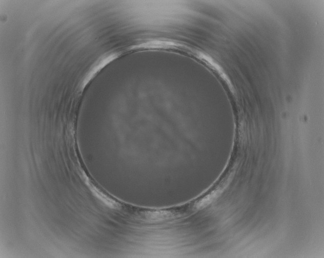 X0000060791425200511241833