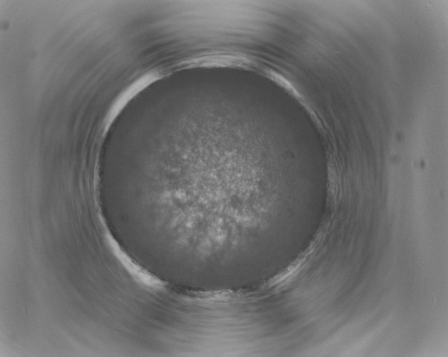 X0000060791426200511241833