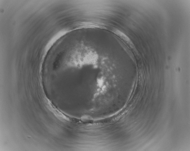 X0000060791427200511241833