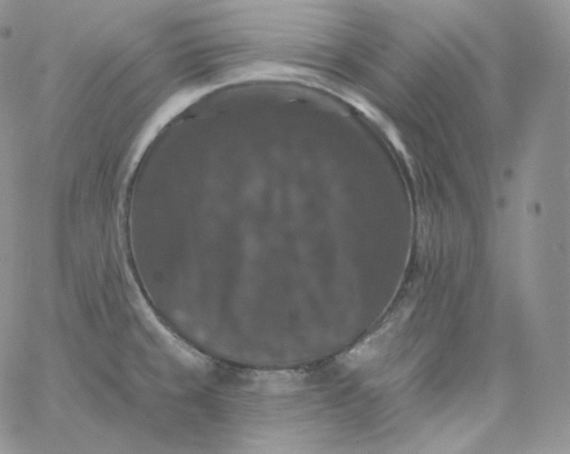 X0000060791429200511241833