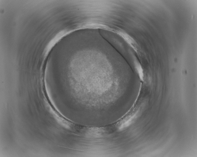 X0000060791430200511241833