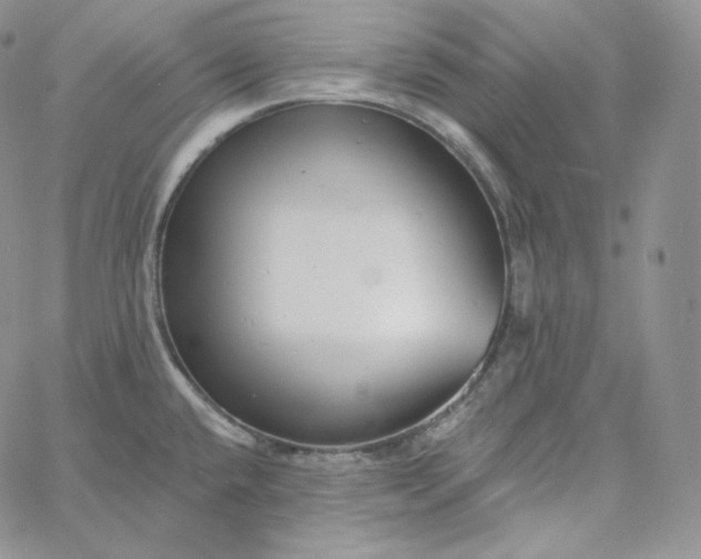 X0000060791432200511241833