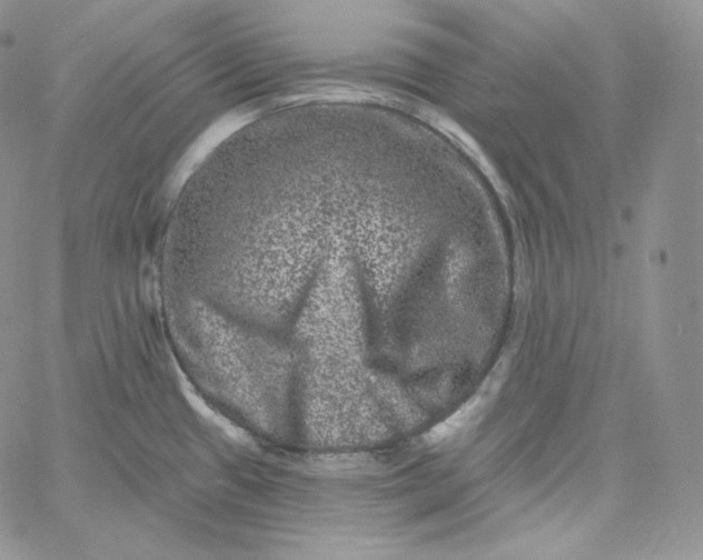 X0000060791433200511241833