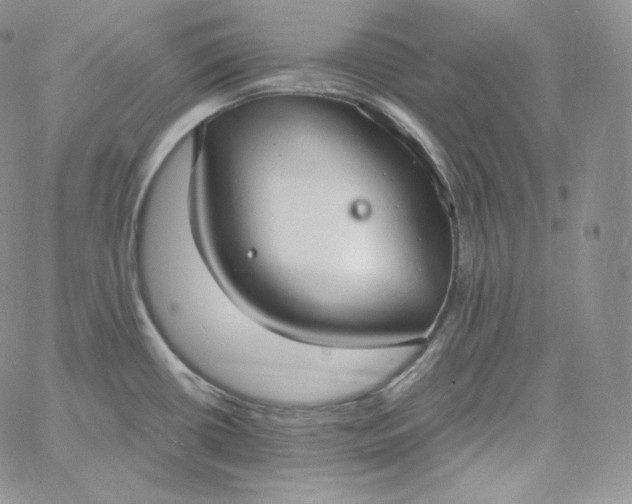 X0000060791434200511241833