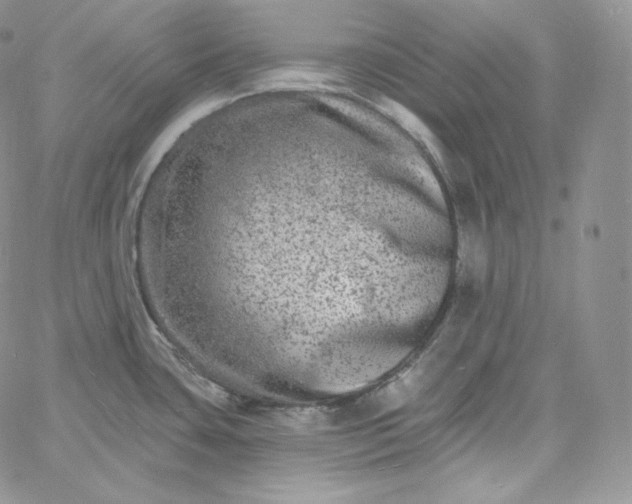 X0000060791435200511241833