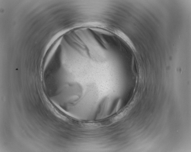 X0000060791436200511241833