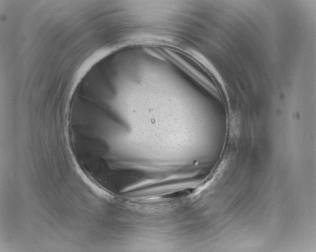 X0000060791437200511241833