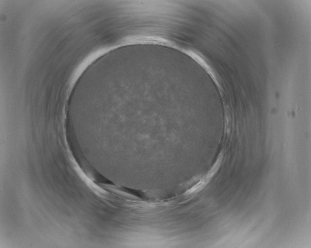 X0000060791438200511241833