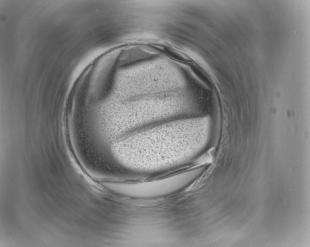 X0000060791440200511241833