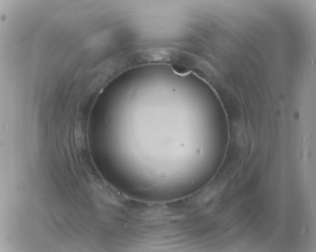 X0000060791442200511241833