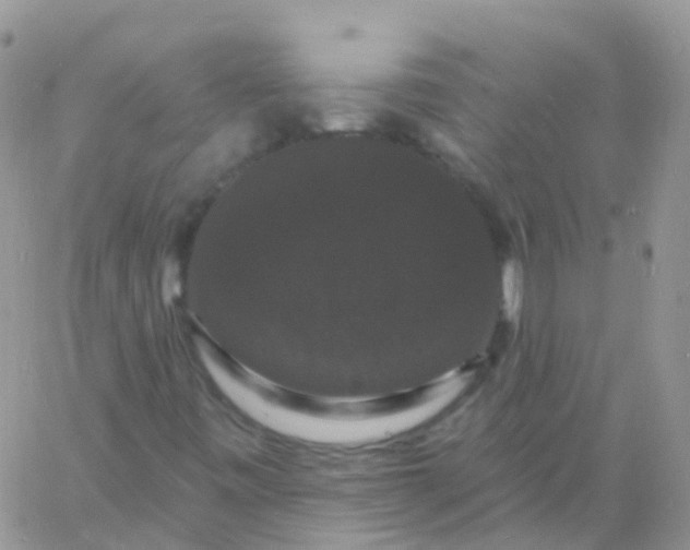 X0000060791443200511241833