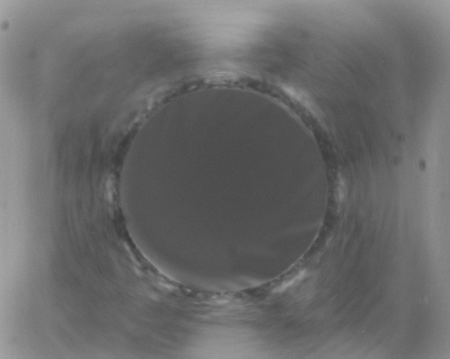 X0000060791445200511241833