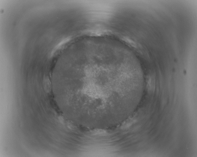 X0000060791446200511241833