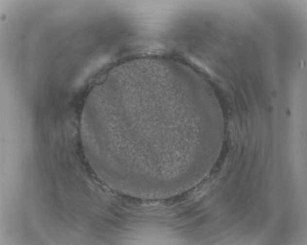 X0000060791447200511241833