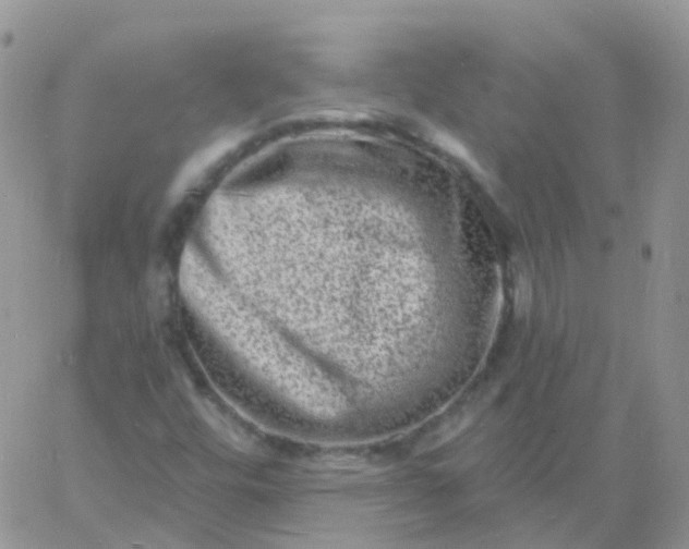 X0000060791448200511241832