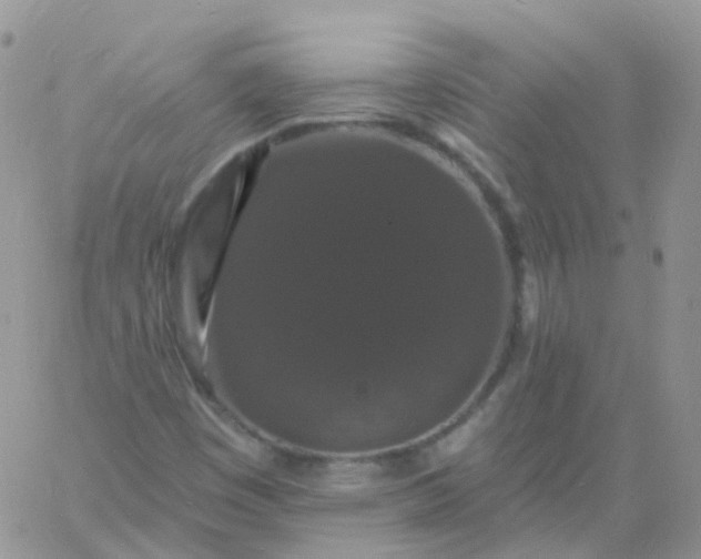 X0000060791449200511241832